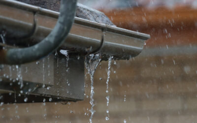How to Prep Your Gutters for Spring in NJ, PA & MD