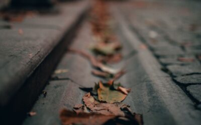 Can Clogged Gutters Raise Your Energy Bills?