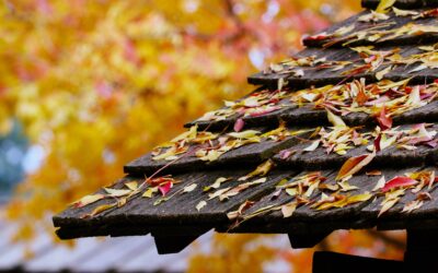 Leaves Are Falling – Is Your Gutter System Ready?